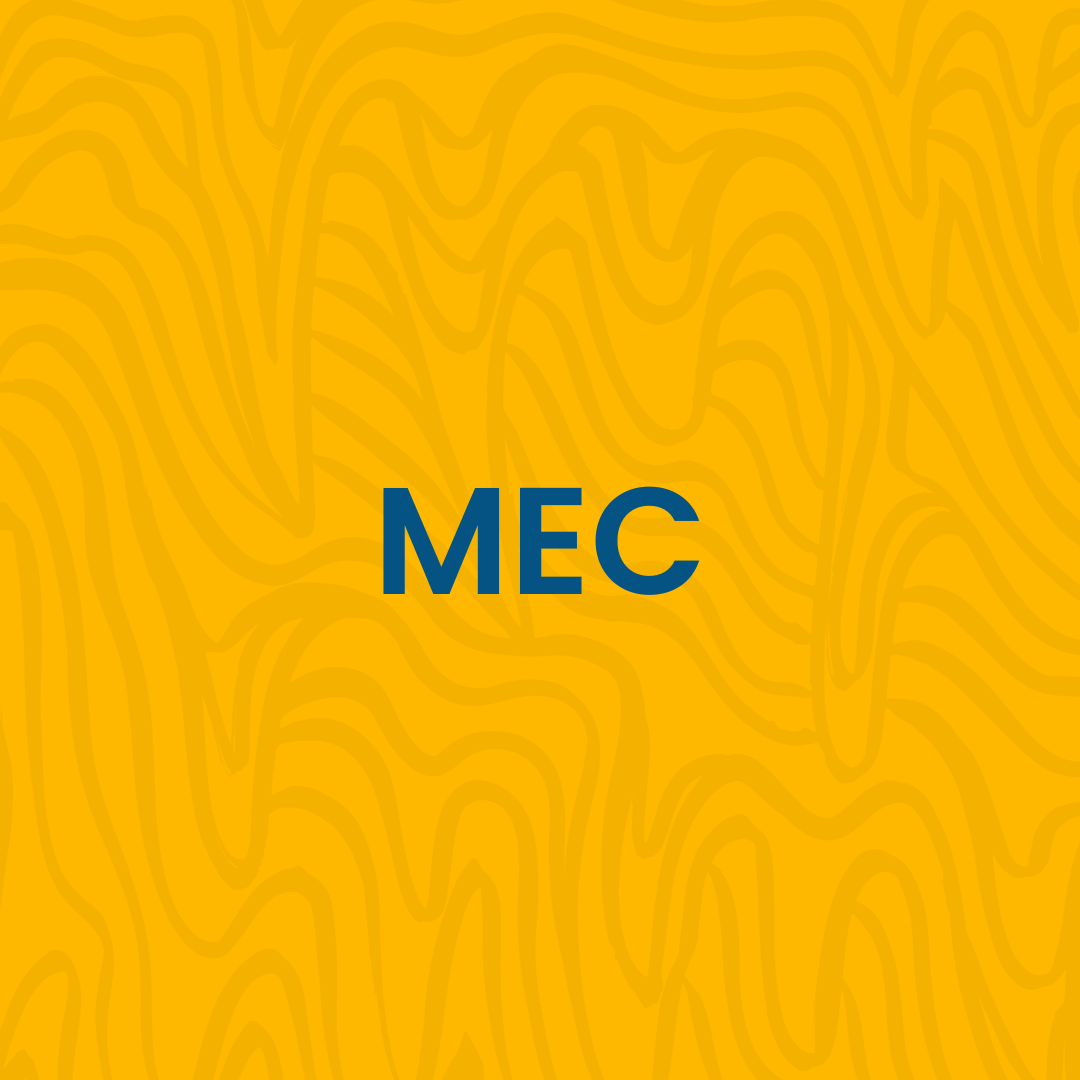 Mec trail 2025 running shoes