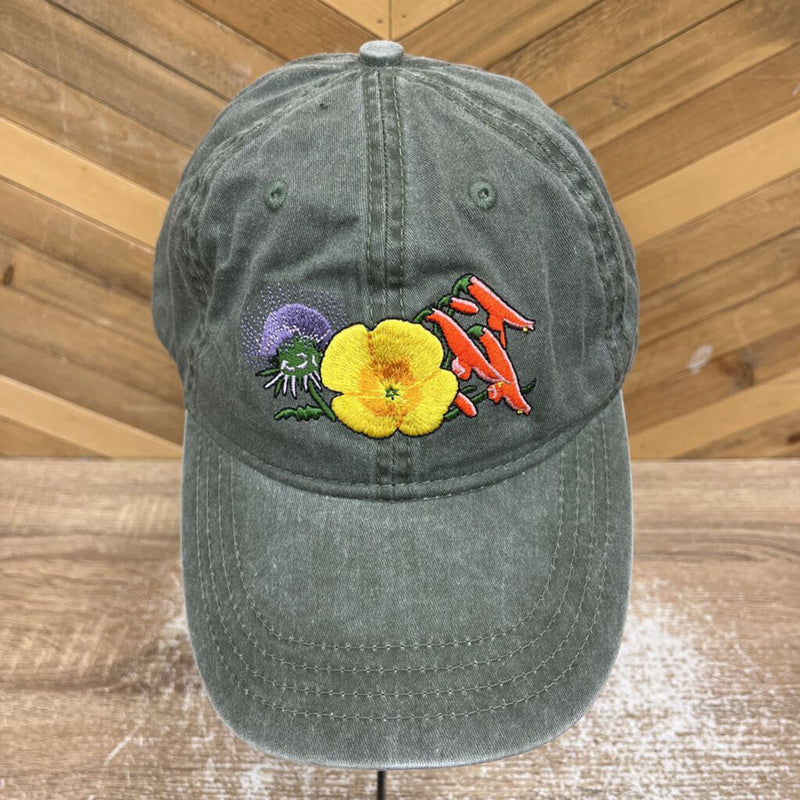 ECO - Saguaro National Park Baseball Cap: Khaki Green / Purple / Yellow / Red--