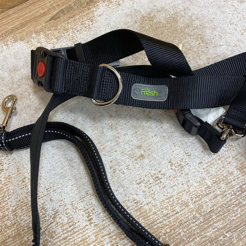 GoFresh- waist bungee leash- MSRP $55: Black -women-8