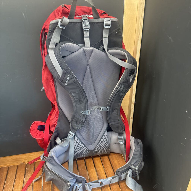 Gregory - Baltoro 65L Multi-Day Hiking Pack - MSRP $460: Red/Grey-unisex-MD