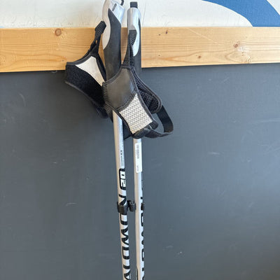 Salomon - Equipe 20 XC Ski Poles - MSRP $69: Silver --135cm