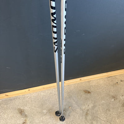 Salomon - Equipe 20 XC Ski Poles - MSRP $69: Silver --135cm