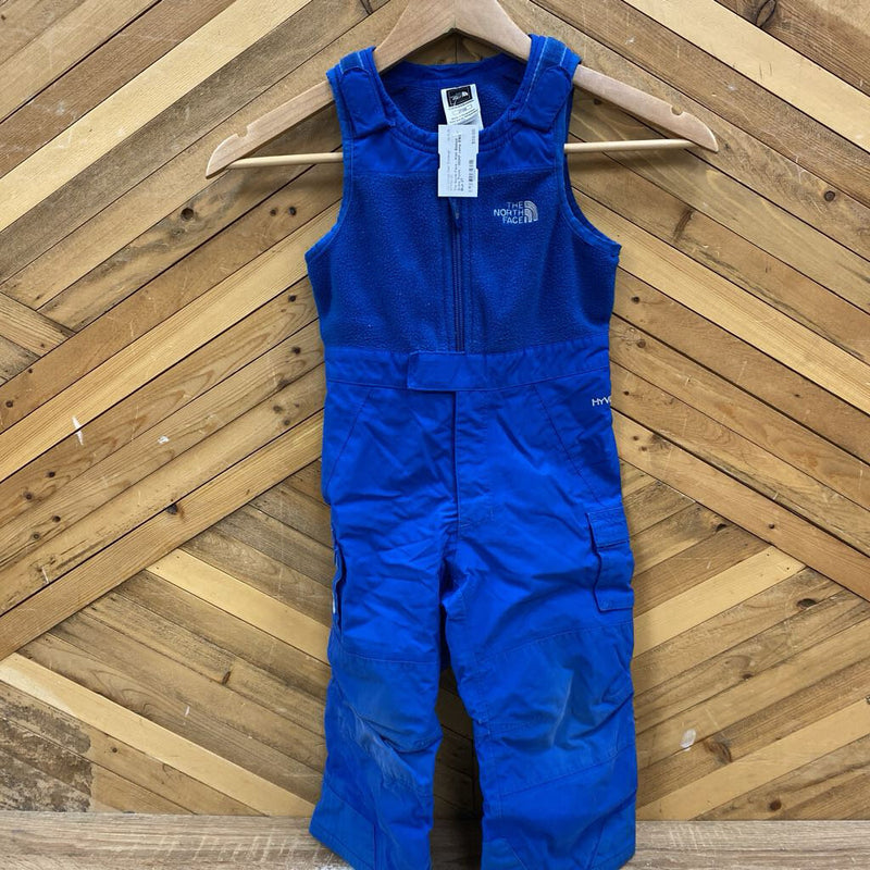 The North Face - Kids Bibbed Snow Pants - MSRP comp $160: Blue-children-2T