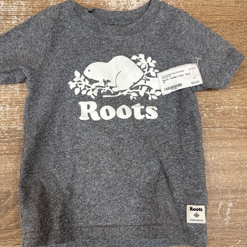 Roots- Toddler t-shirt : Grey -children-2T