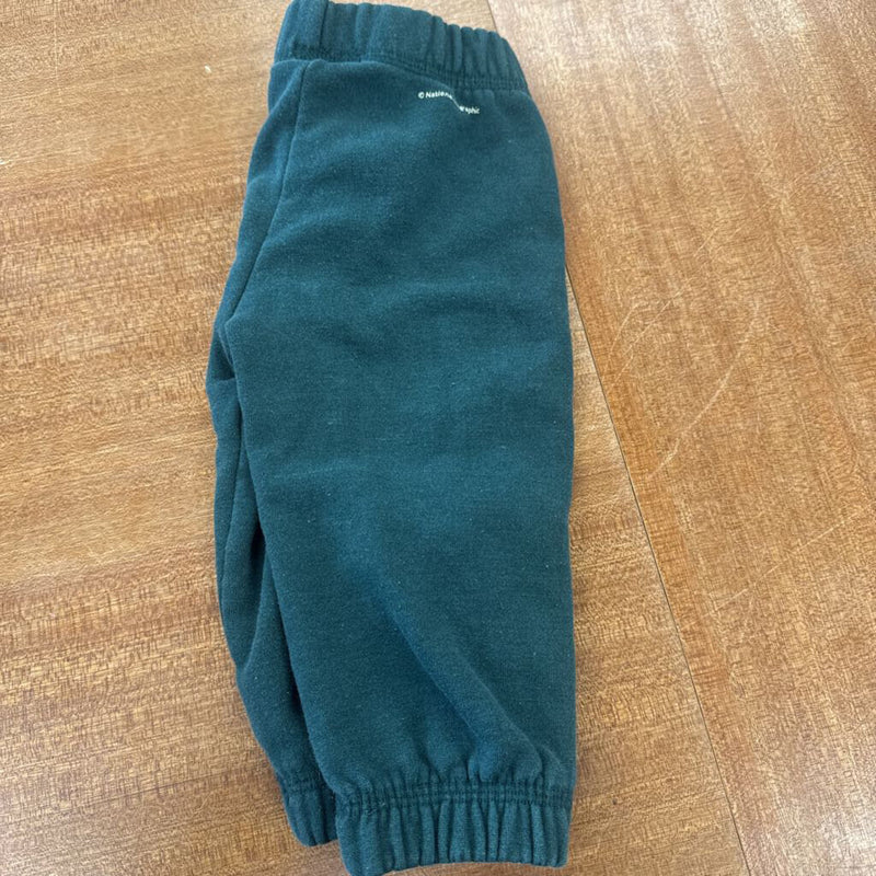 tentree x National Geographic- Toddler Pants - MSRP $45: Green -children-1T