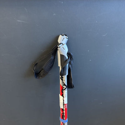 Salomon - Escape Jr Aluminum XC Ski Poles - MSRP $40: Silver--110cm
