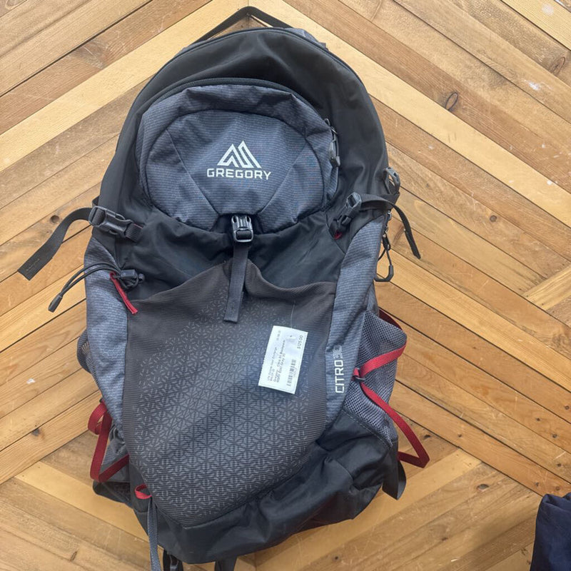 Gregory- Citro 30 Backpack- MSRP $240: Gray-unisex-30