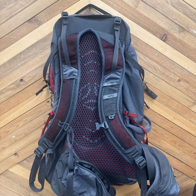 Gregory- Citro 30 Backpack- MSRP $240: Gray-unisex-30