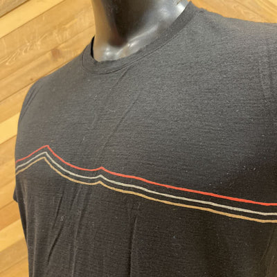 Icebreaker - Men's Merino T-Shirt - MSRP $100: Black-men-MD