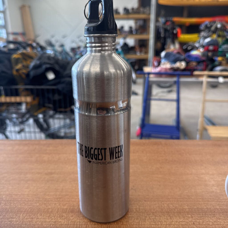 The Biggest Week Stainless Steel Water Bottle: silver-unisex-