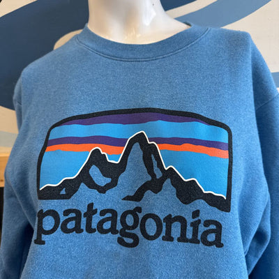 Patagonia - Blue Sweatshirt- MSRP $109: blue-unisex-MD