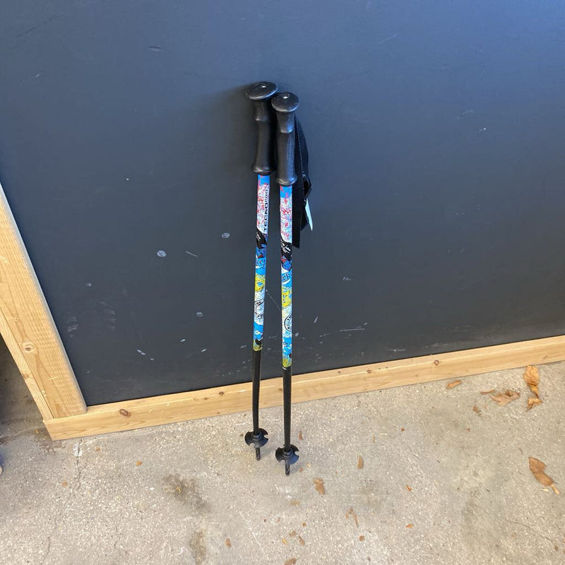 Tecnica Ski Poles: Black/White/Multi-unisex-80cm
