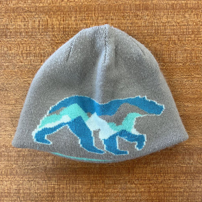 The North Face- Baby Wander Beanie: gray and turquoise-unisex-