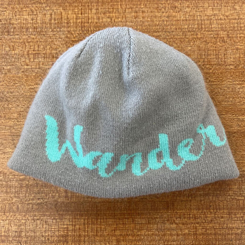 The North Face- Baby Wander Beanie: gray and turquoise-unisex-