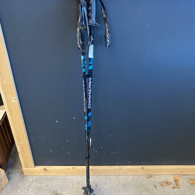 Dynastar- Downhill Ski Poles : Black Teal --