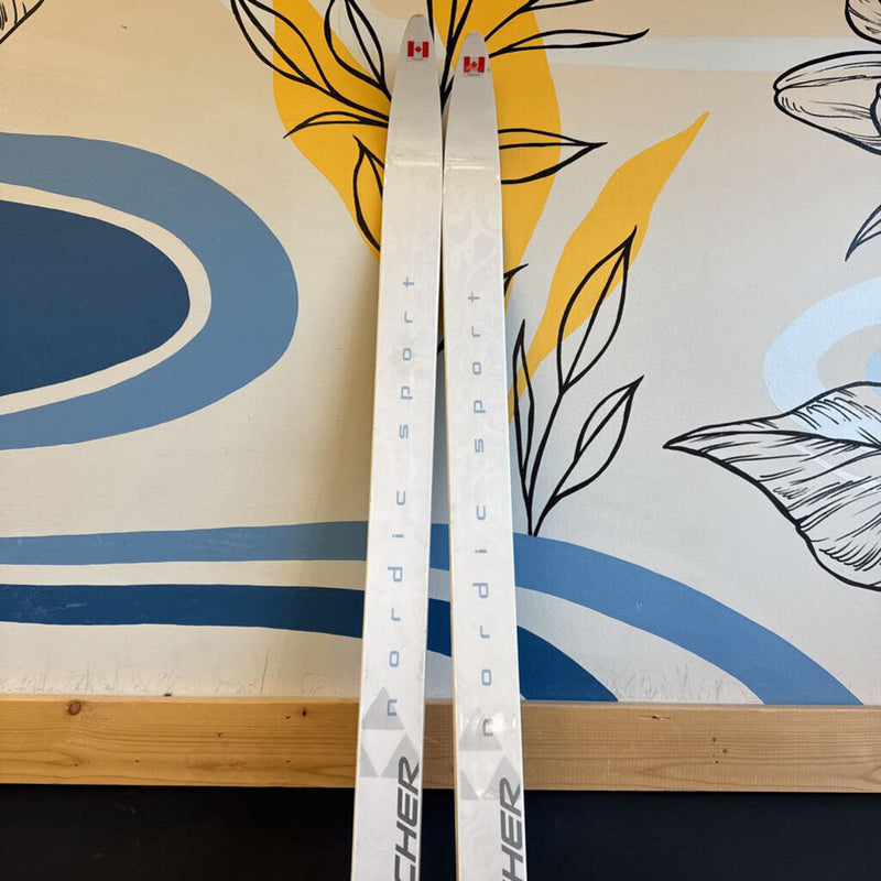 Fischer - Nordic Sport Elegance XC Skis - SNS Profil Bindings: White/Grey/Blue--188cm