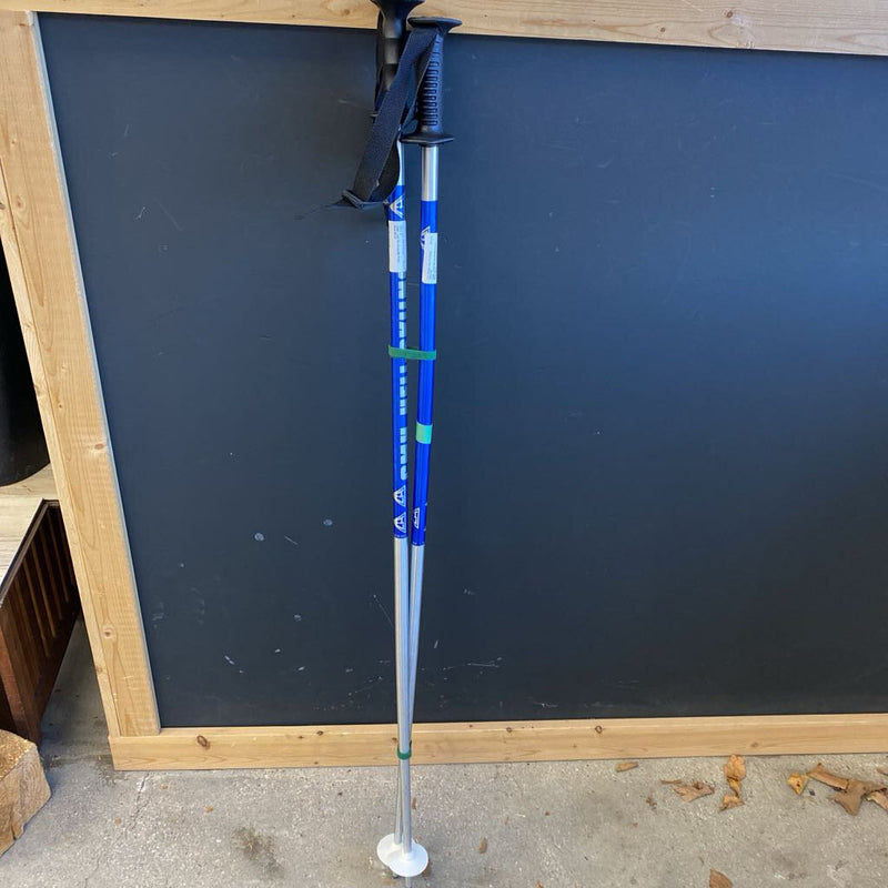 CMH - Heli Ski Downhill Poles : Blue Silver --