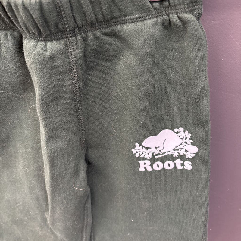 Roots -Kids Jogger Fleece Pants: green-children-4T