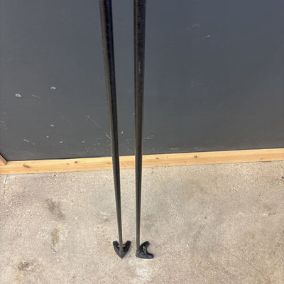 Exel Activa Performace Carbon 20 Cross Country Ski Poles MSRP $98: red--160