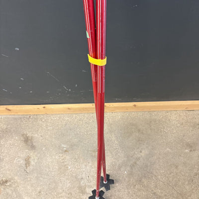 Scott - Olympic Downhill Ski Poles: red-unisex-130cm