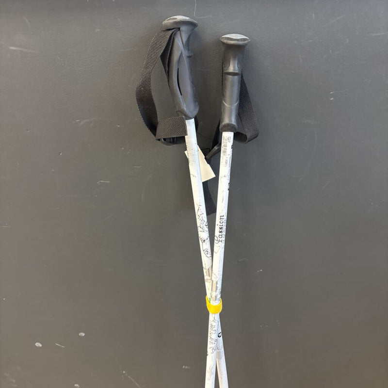 Rossignol- Downhill Ski Passion Pole: white-unisex-120cm