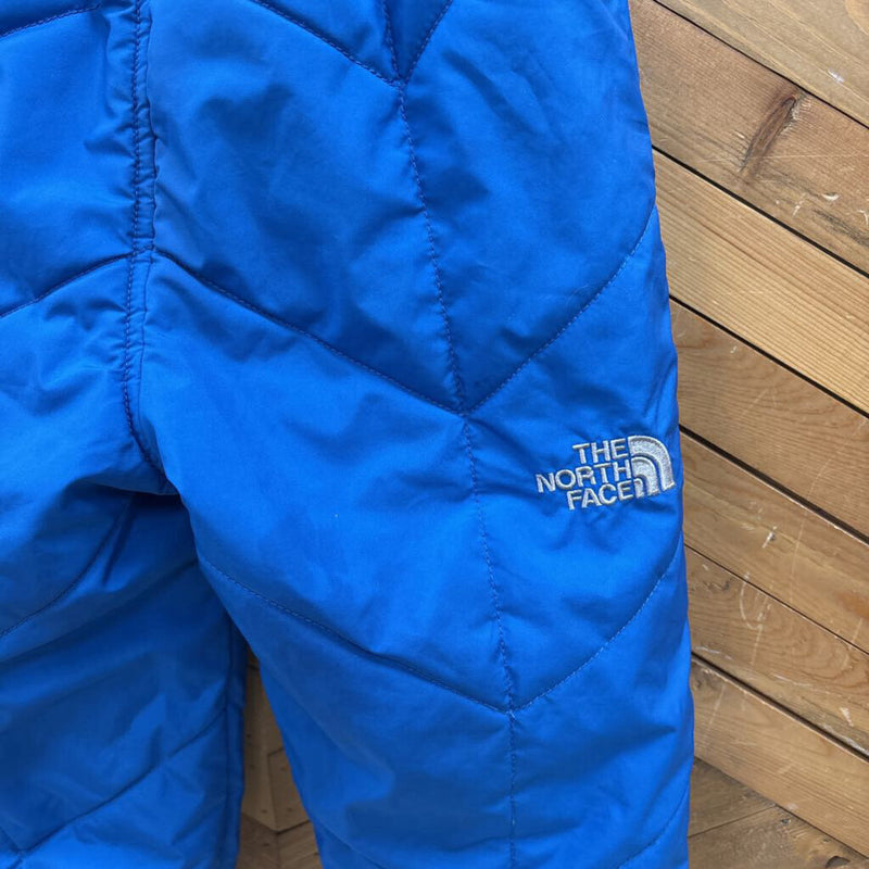 The North Face- Toddler Perrito Pants - MSRP $90 : blue-children-2T