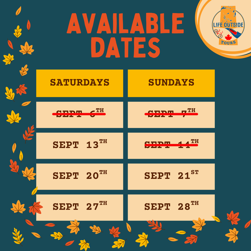 Paddle Into Fall! Special: Single Kayak Rental w/ Shuttle