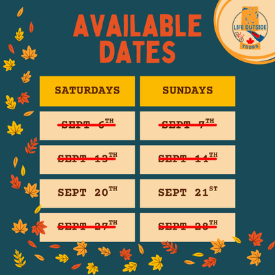 Paddle Into Fall! Special: Inflatable SUP Rental w/ Shuttle
